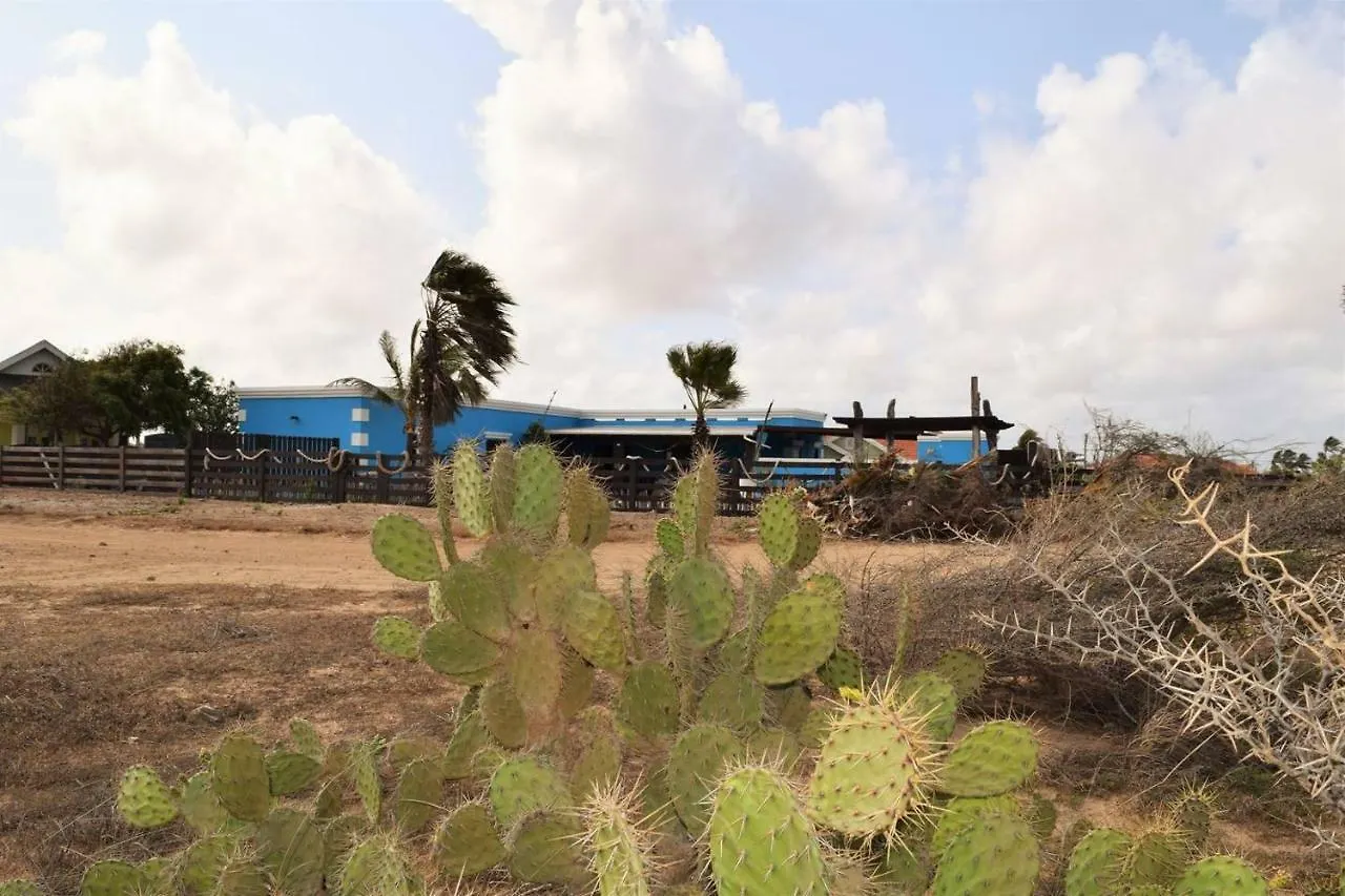 Villa Rancho Azul Hotel Noord